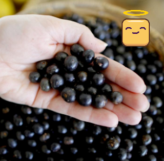 acai üzümü acai üzümü faydaları
