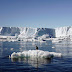 Endangered Animals In Antarctica Become Worse