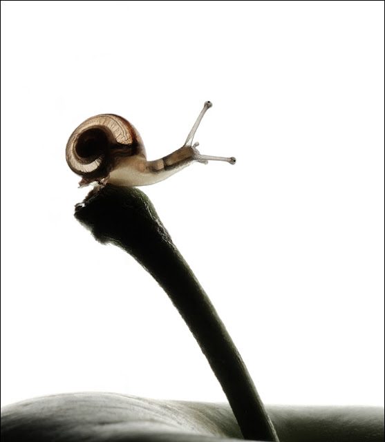 My Image 37