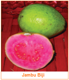 Pengertian Dan Karakteristik Bahan Pangan Hasil Samping Buah