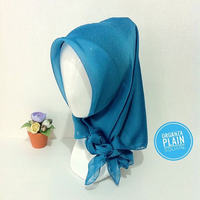 Organza Plain Organza Plain