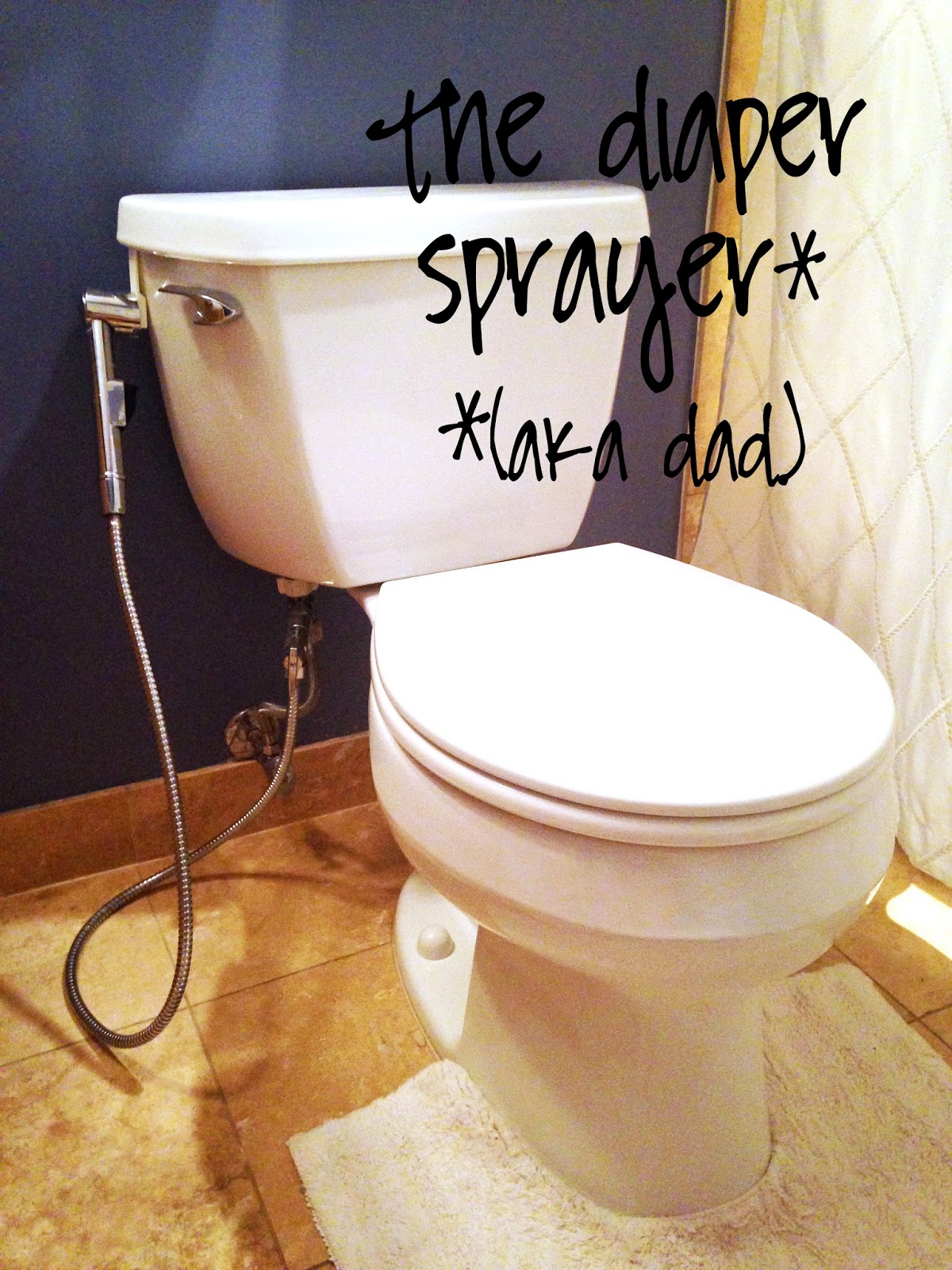 Oh, Crap...Cleaning Cloth Diapers So Sarahdipity