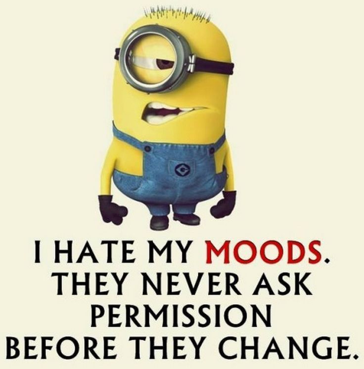 Funny Status For Whatsapp, Facebook, Short Funny Status Quotes Status Fry