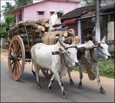 karattaya+2.jpg
