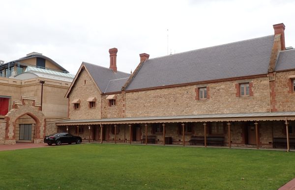 環世界の窓から 南オーストラリア博物館アデレード大学歯学部