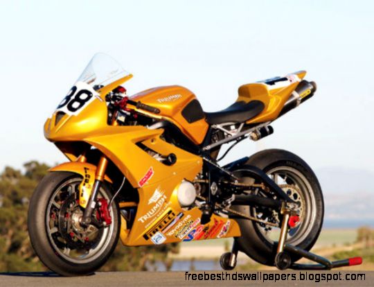 Triumph Daytona 675 Project Bike   Goldenrod  Sport Rider