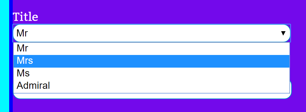 Rohail Siddiqi Web Project