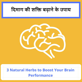 दिमाग की शक्ति बढ़ाने के उपाय : 3 Natural Herbs to Boost Your Brain Performance 