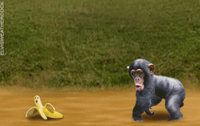 Kumpulan Animasi Monyet Bergerak Lucu ANIMASI DAN GAMBAR 