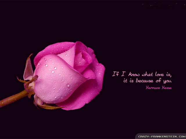 True Love 01: Romantic Love Quotes