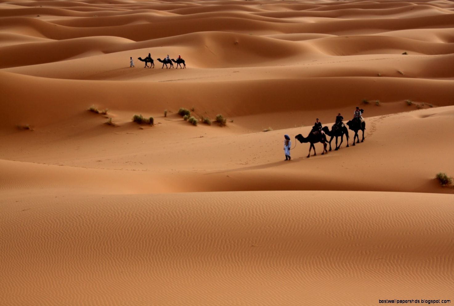 Sahara Desert Africa