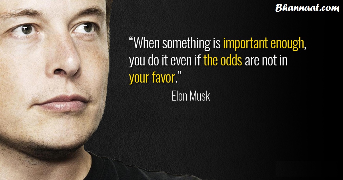 elon musk autobiography book elon musk autobiography book