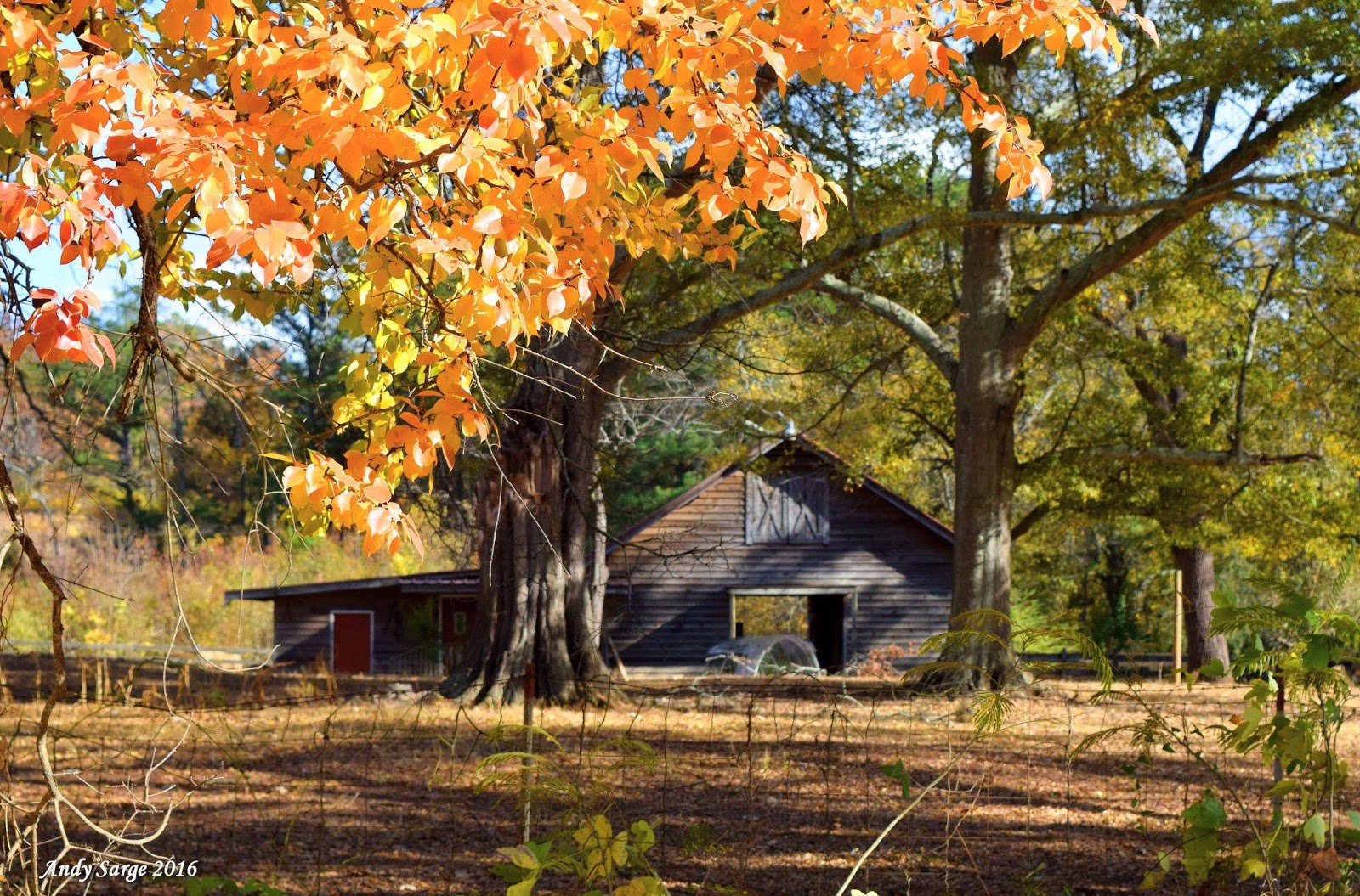 Troup County Barn