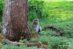 curug nangka bogor