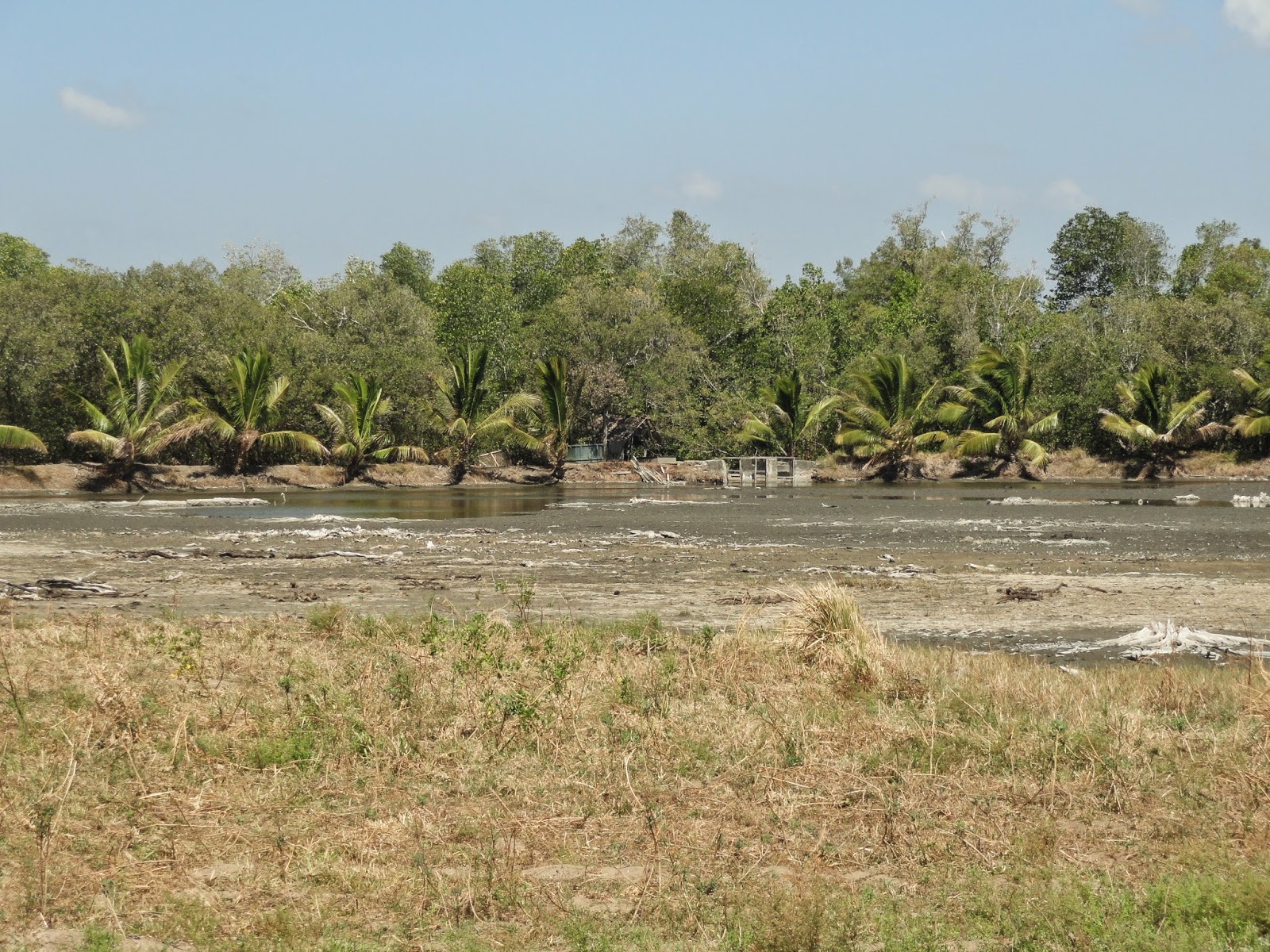 Zamboanga del Sur Properties FOR SALE 13 HECTARES FISHPOND AT TUKURAN