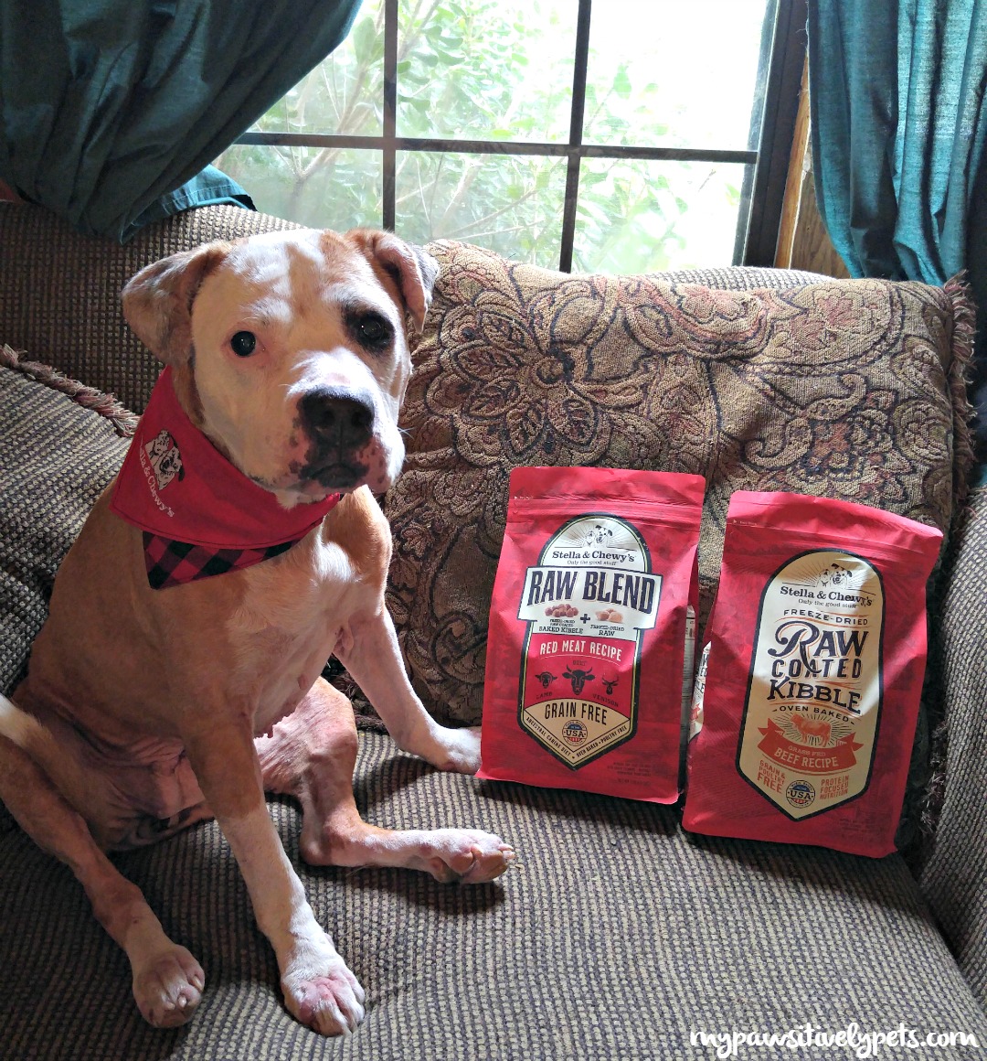 New Stella & Chewy's Raw Coated Kibble Giveaway Pawsitively Pets