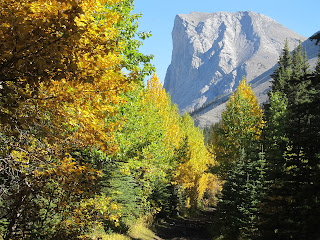 The Passionate Hiker: Sheep Valley Mines