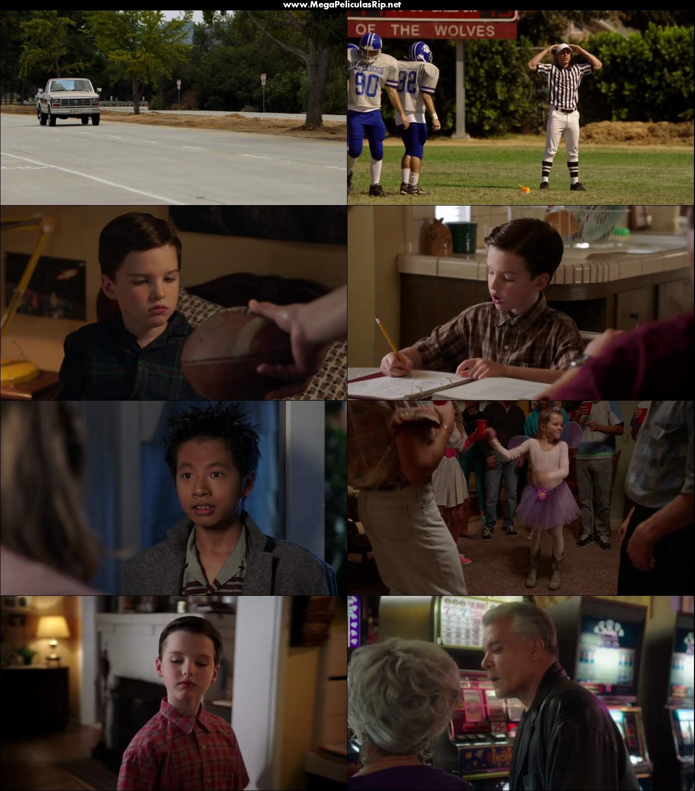 Young Sheldon Temporada 1 720p Latino