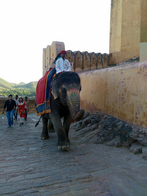 Elephant ride at Amer Fort