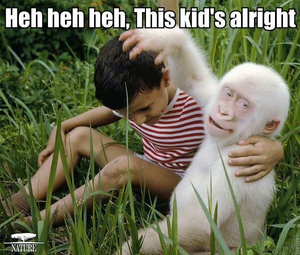 30 Funny animal captions - part 21 (30 pics), captioned animal pictures, albino gorilla