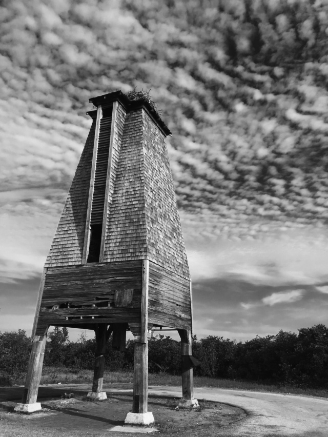 Key West Diary Rusty At The Bat Tower