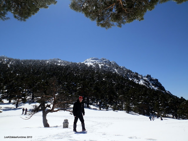 Pradera del ventoso con nieve