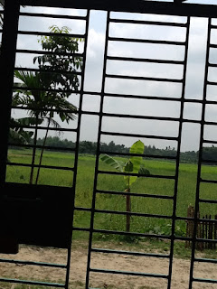 ছবি