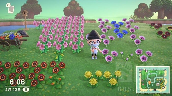 集合啦 動物森友會 (Animal Crossing:New Horizons) 花卉雜交選種與圈地規劃解說