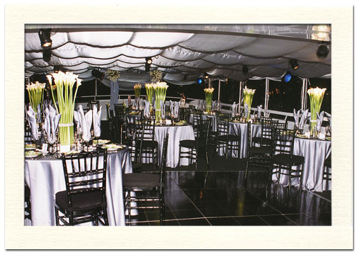 Wedding Reception Event Fashion Dresses