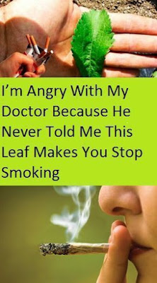 I’M ANGRY WITH MY DOCTOR BECAUSE HE NEVER TOLD ME THIS LEAF MAKES YOU STOP SMOKING