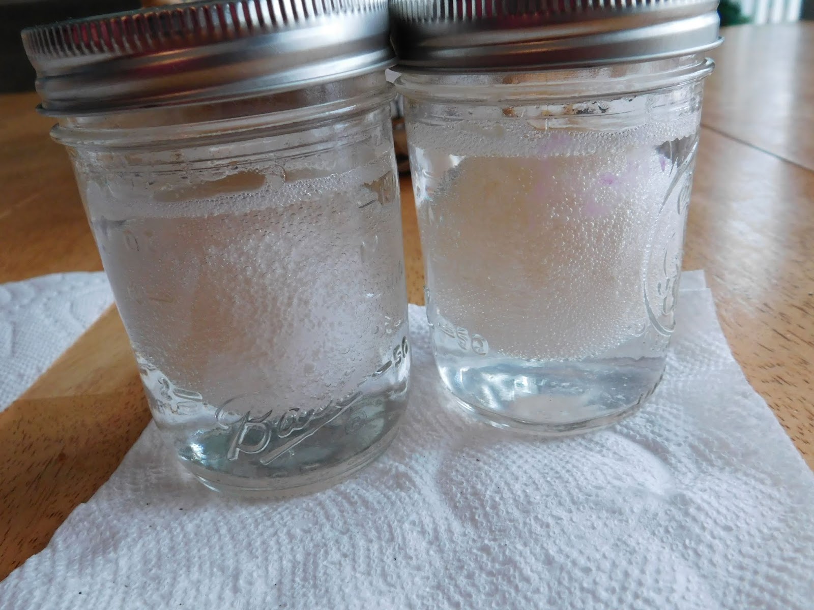 100 Days of Science 54 Fluoride and Calcium Experiment