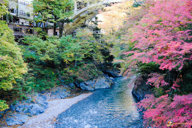 Okutama, Okutama Lake, Tokyo Tama, Tama, tamashima, escursioni da tokyo, foliage tokyo, koyo tokyo, autunno giappone, natura tokyo
