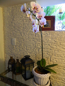 Amo orquídeas