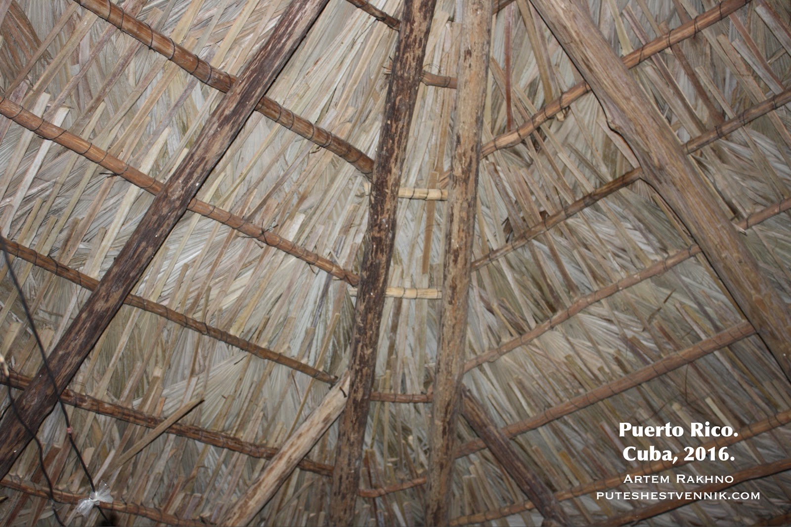 Крыша из пальмовых листьев