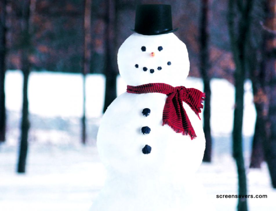 Real Snowman Wallpaper | HD Wallpapers Gallery