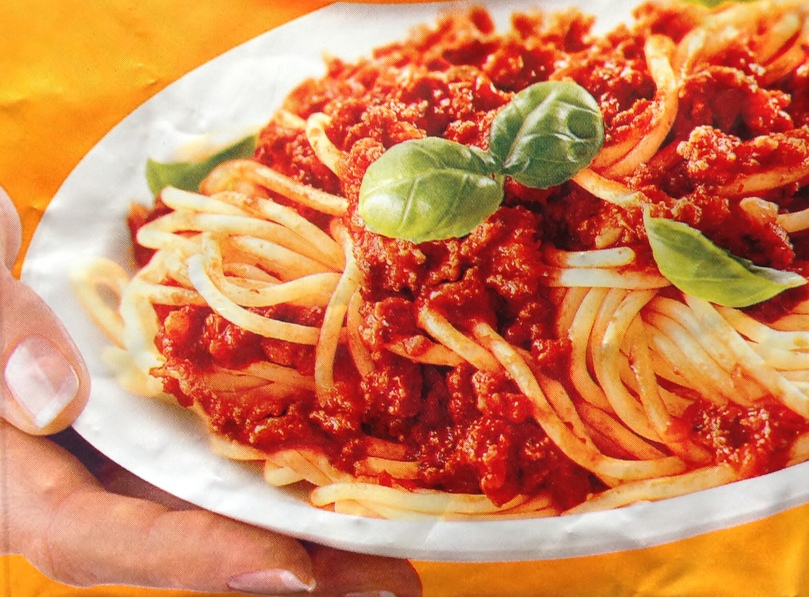 Recepty : Špagety alla bolognese