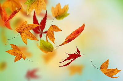 Resultado de imagem para eu posso dormir enquanto os ventos sopram em minha vida