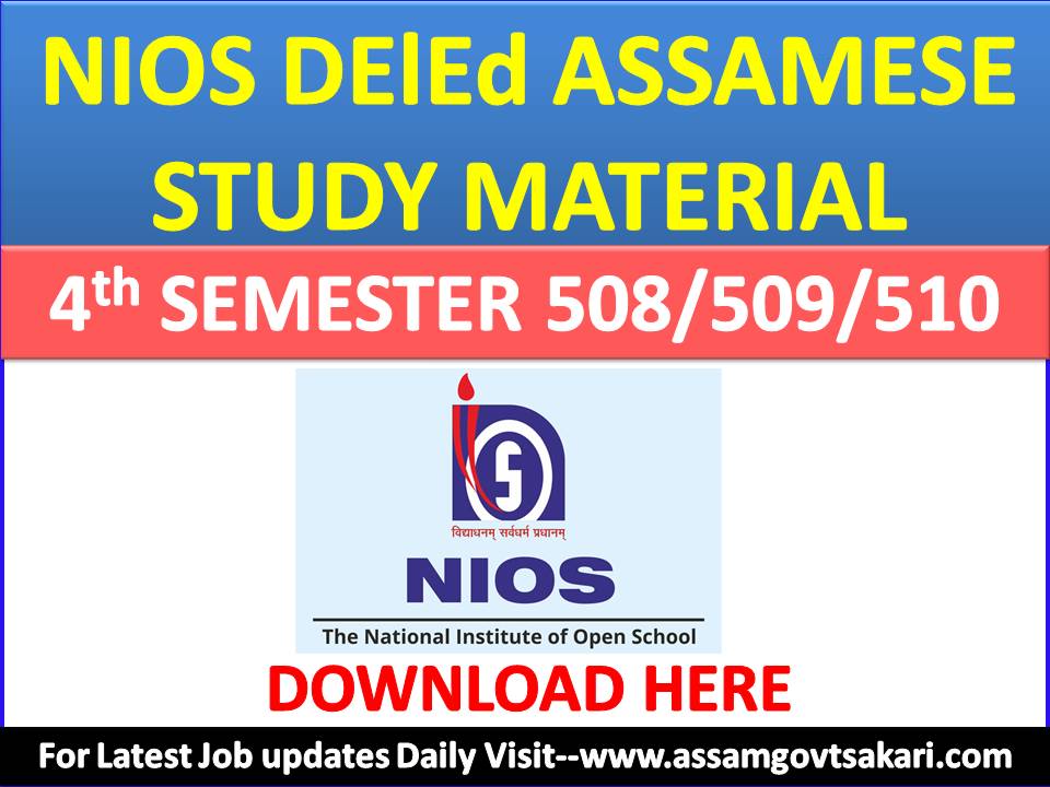 Nios deled case study pdf image