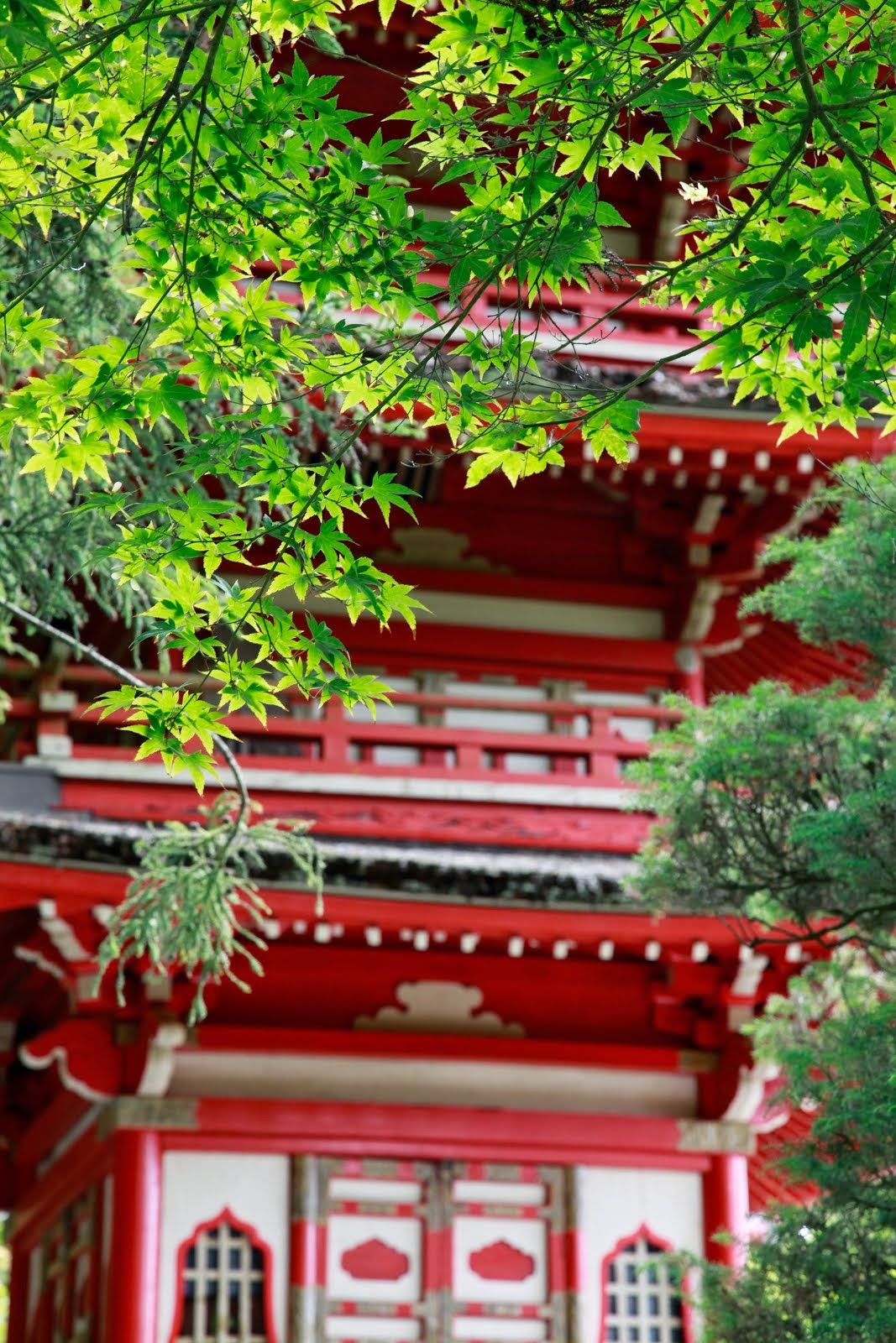 Japanese garden in Washington