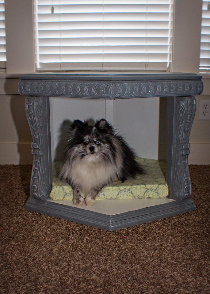 Simply Serendipity Hexagon Pet Bed End Table