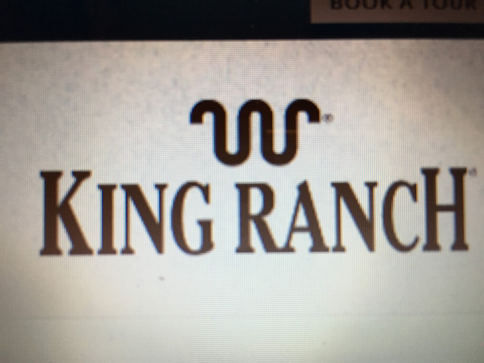 PATI AND LEROY'S TRAVELS KING RANCH Cattle, History and Wildlife