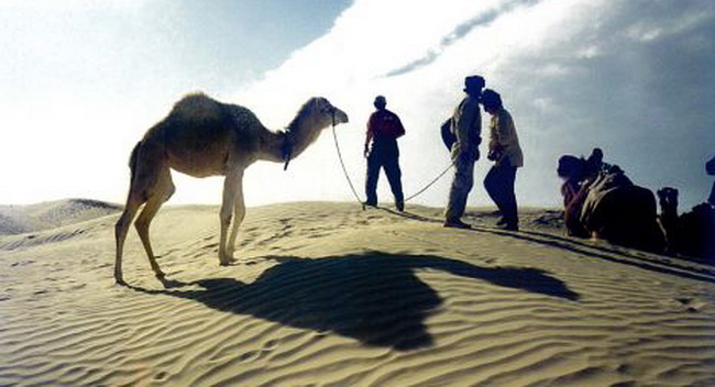 --tunisia--kebili--id=42020