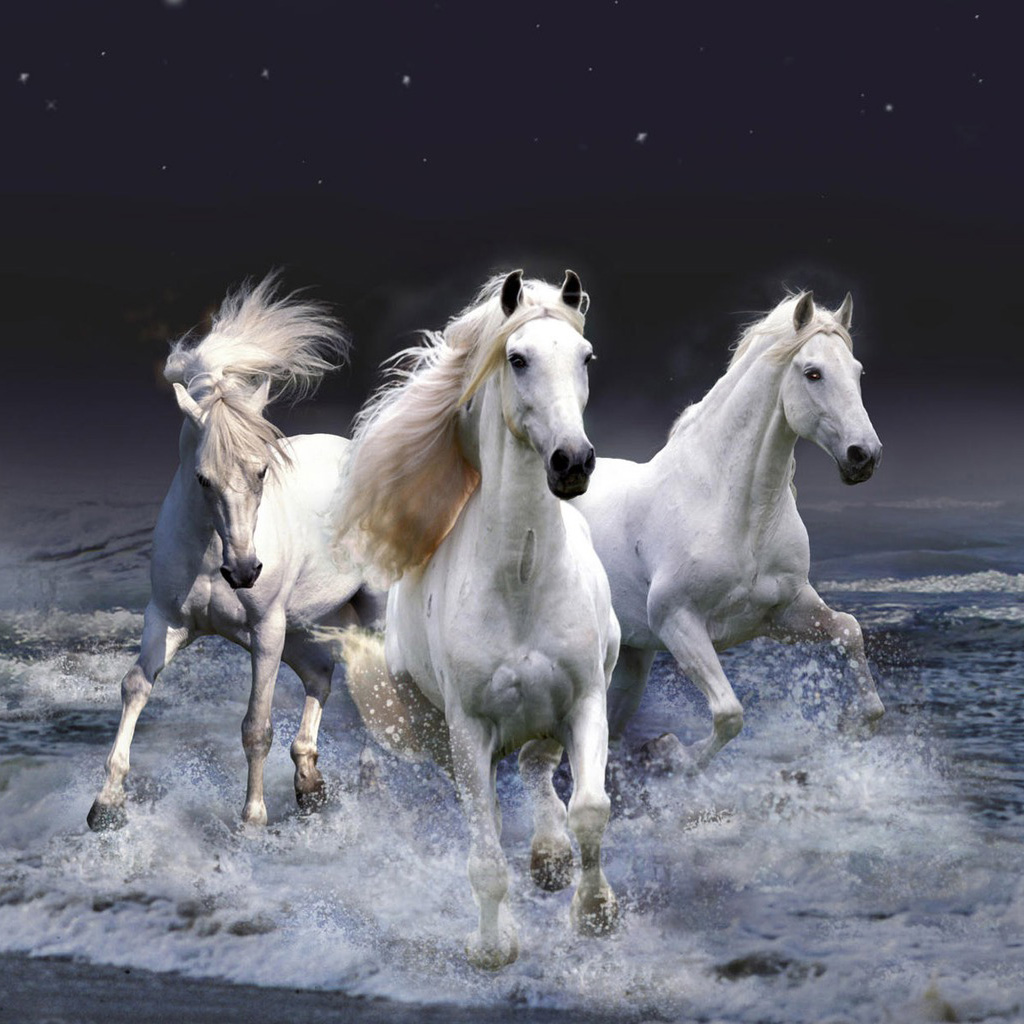 My Image 22