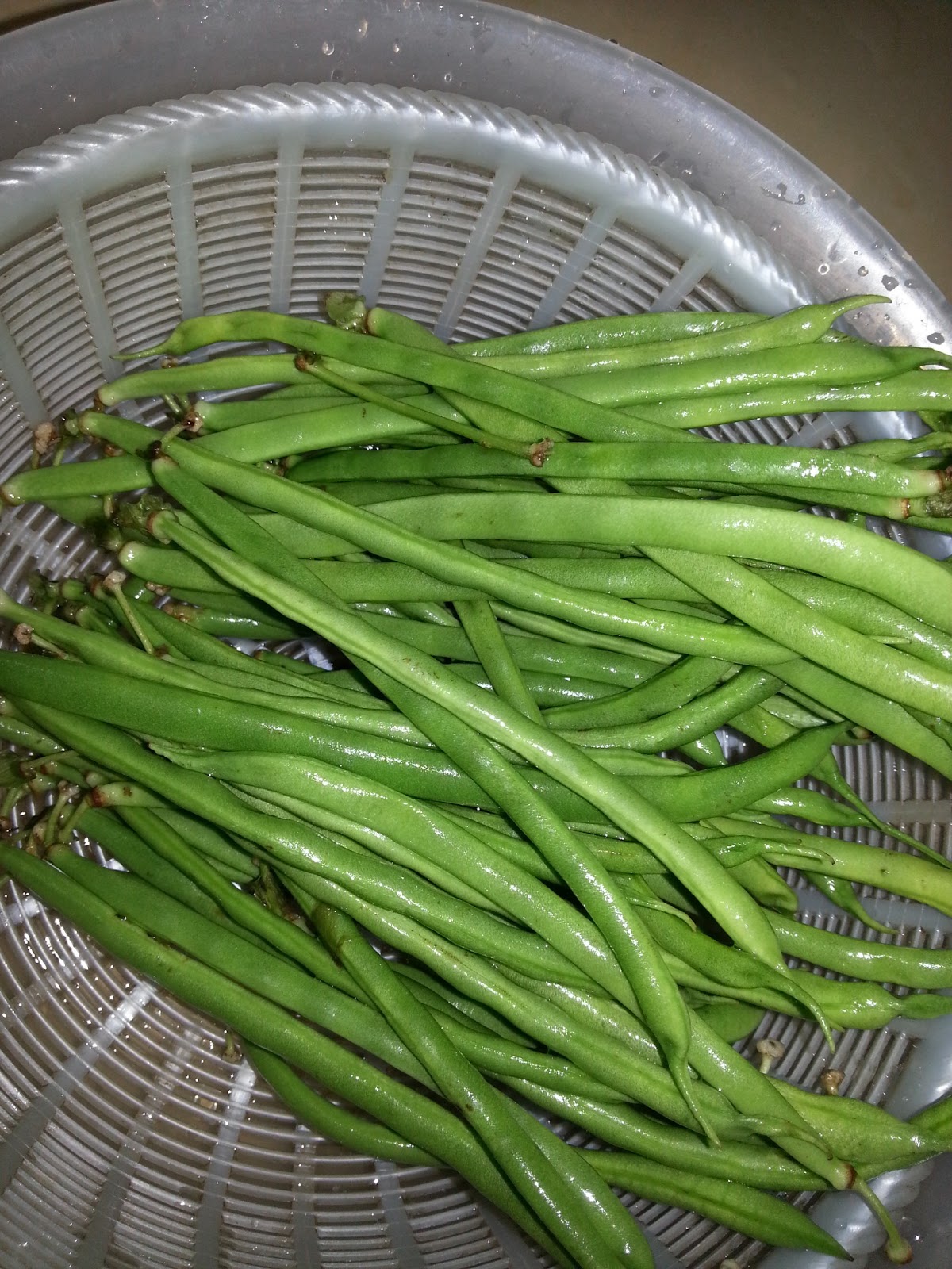 My Little Kitchen Stir fry baby fine bean