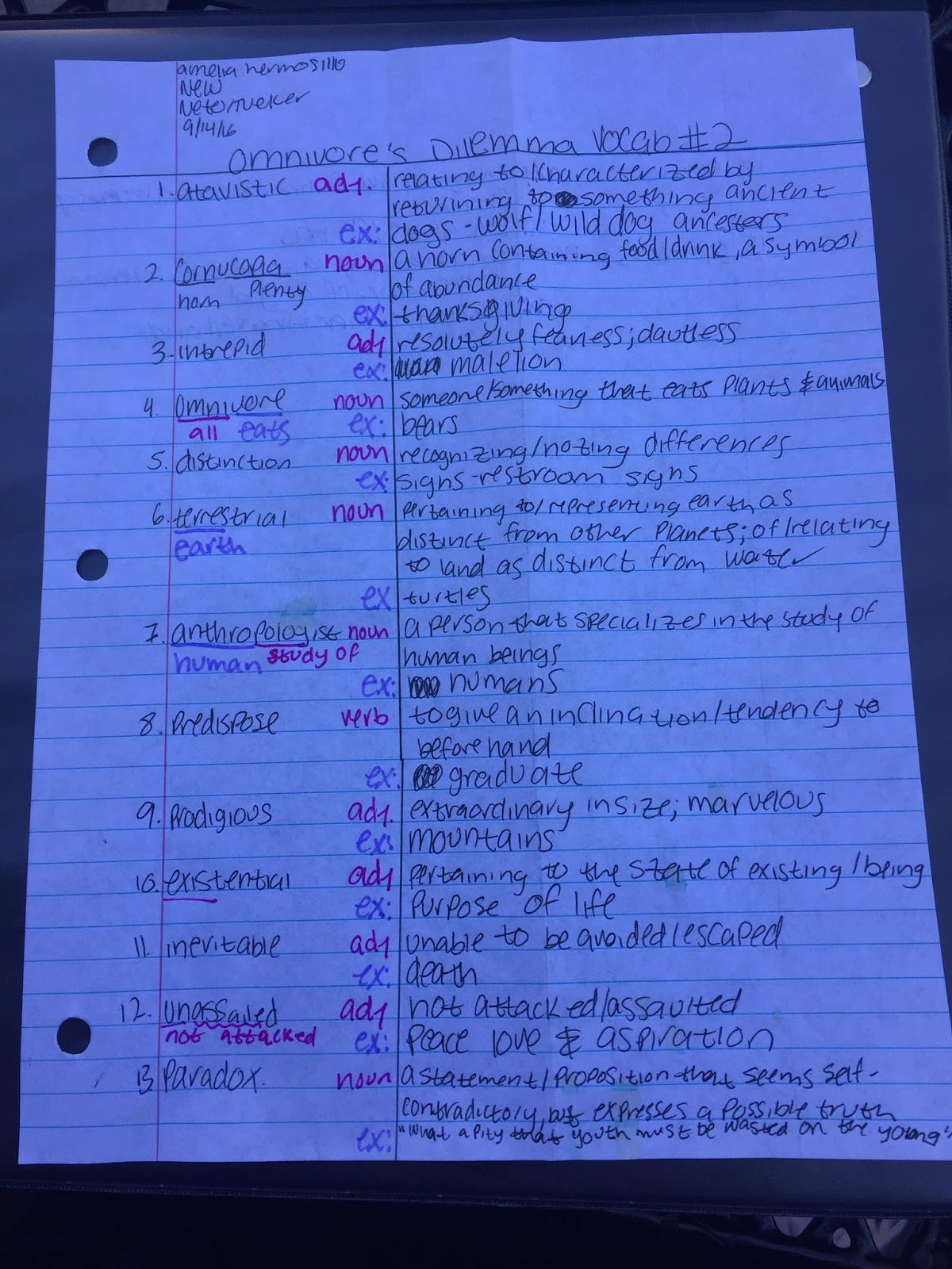 Vocabulary Notes Examples Amelia Hermosillo's 2016-2017 Digital Notebook: Vocabulary Notes