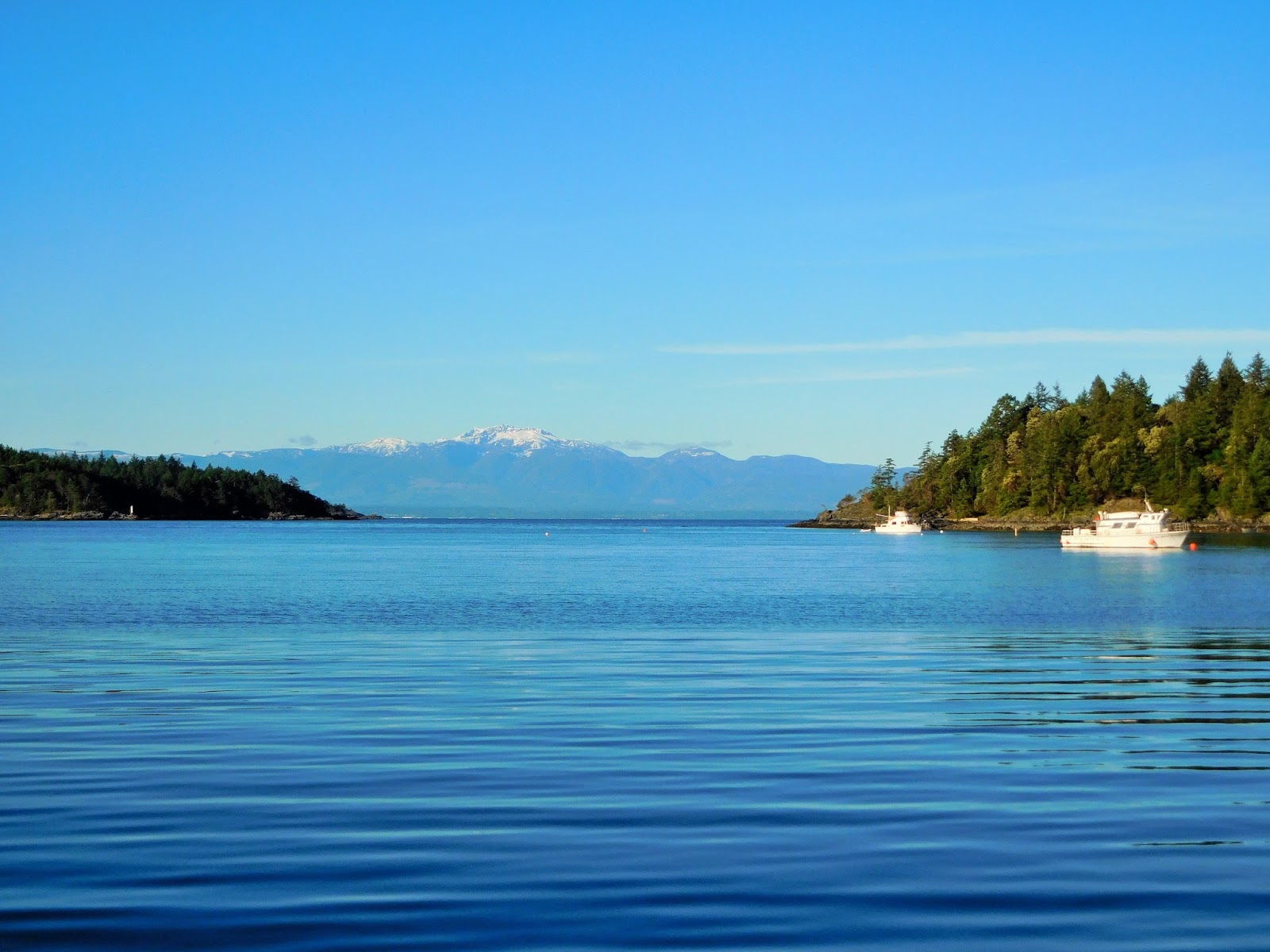 Remote Island Living