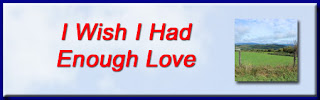 http://mindbodythoughts.blogspot.com/2016/07/i-wish-i-had-enough-love.html