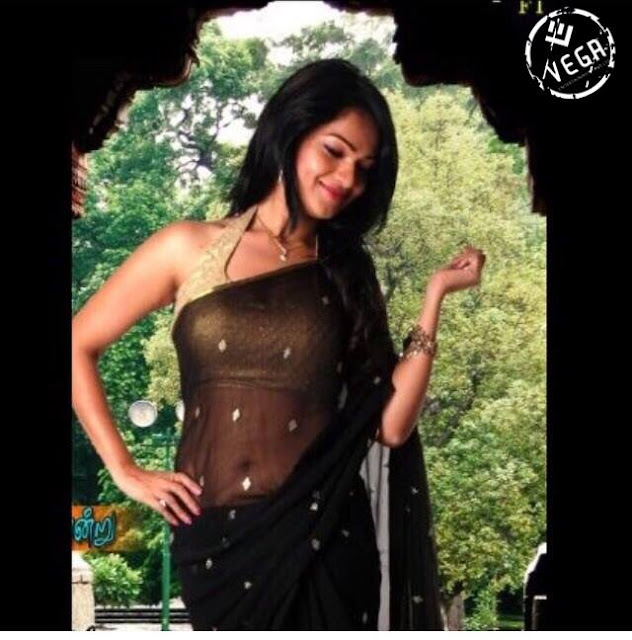 Indian Actress in Black Transparent Saree Navel Queens Indian Actress in Black Transparent Saree Navel Queens