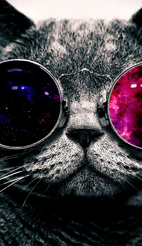 20 Cool HD iPhone Wallpapers