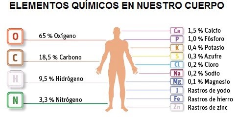 Principales elementos químicos del cuerpo humano